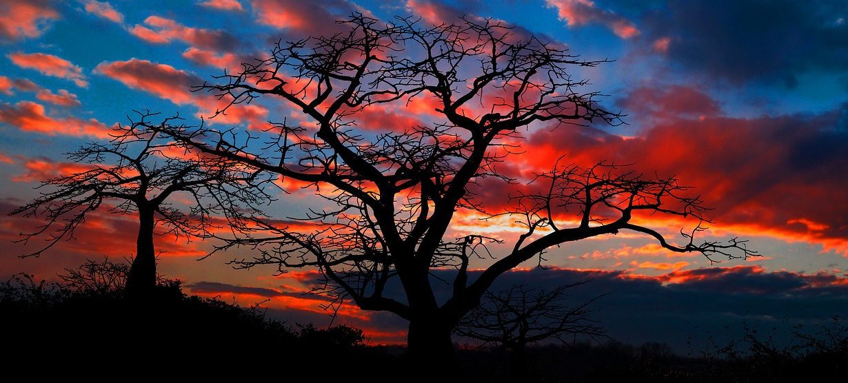 angola, cerveja, bela