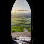 green grass field under white sky during daytime